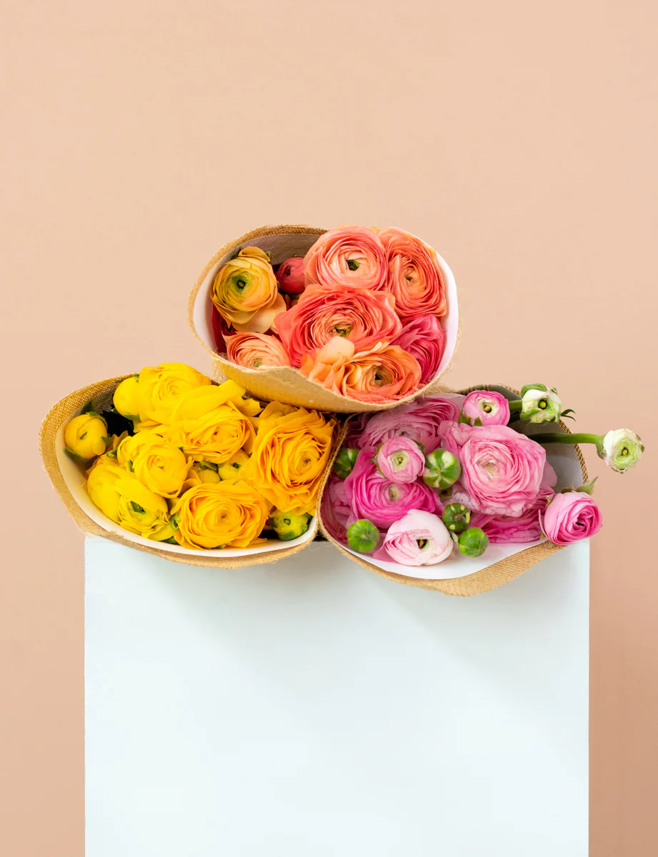 Buttercup Lucky Dip - Image 3
