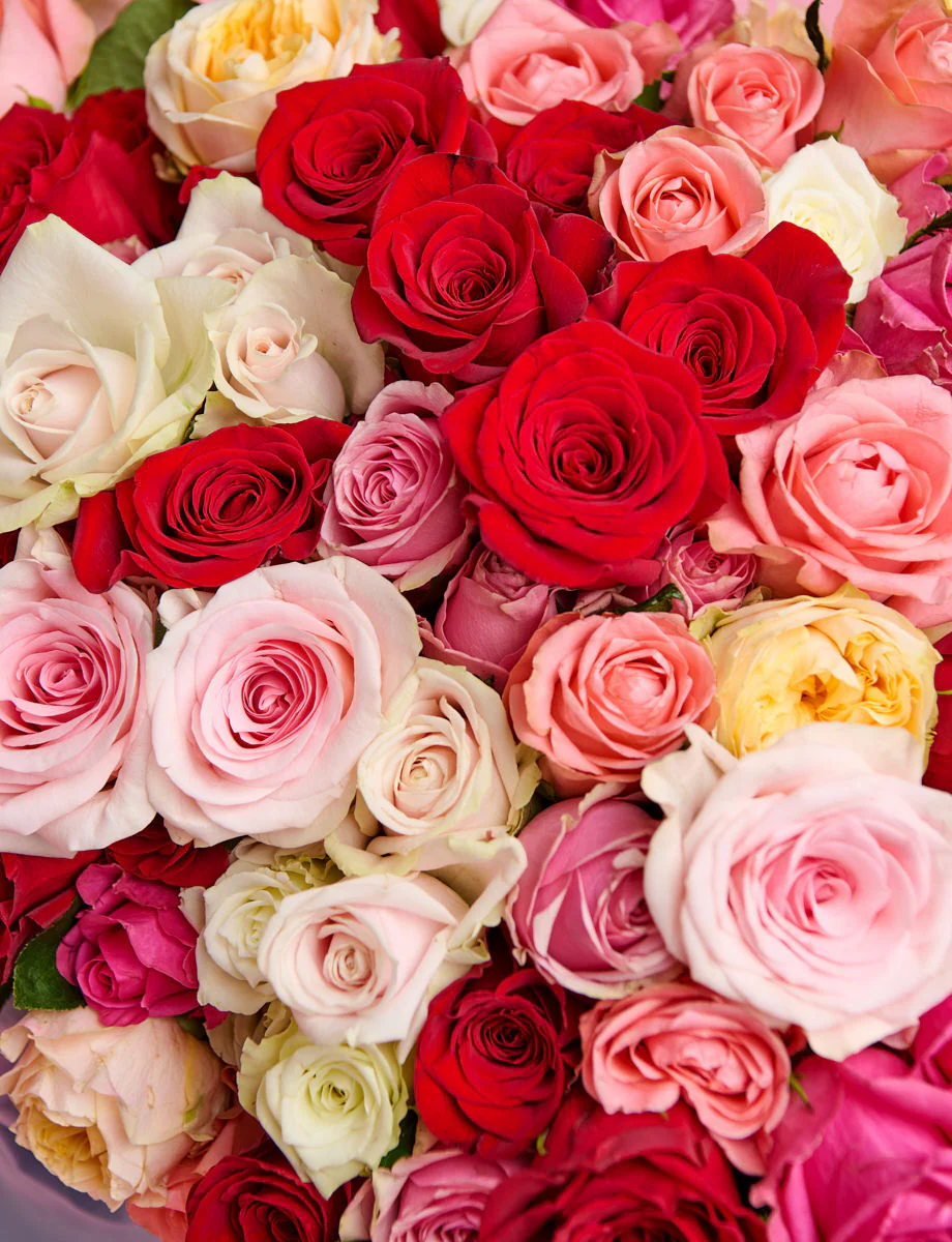 A Dozen Mixed Roses - Image 5