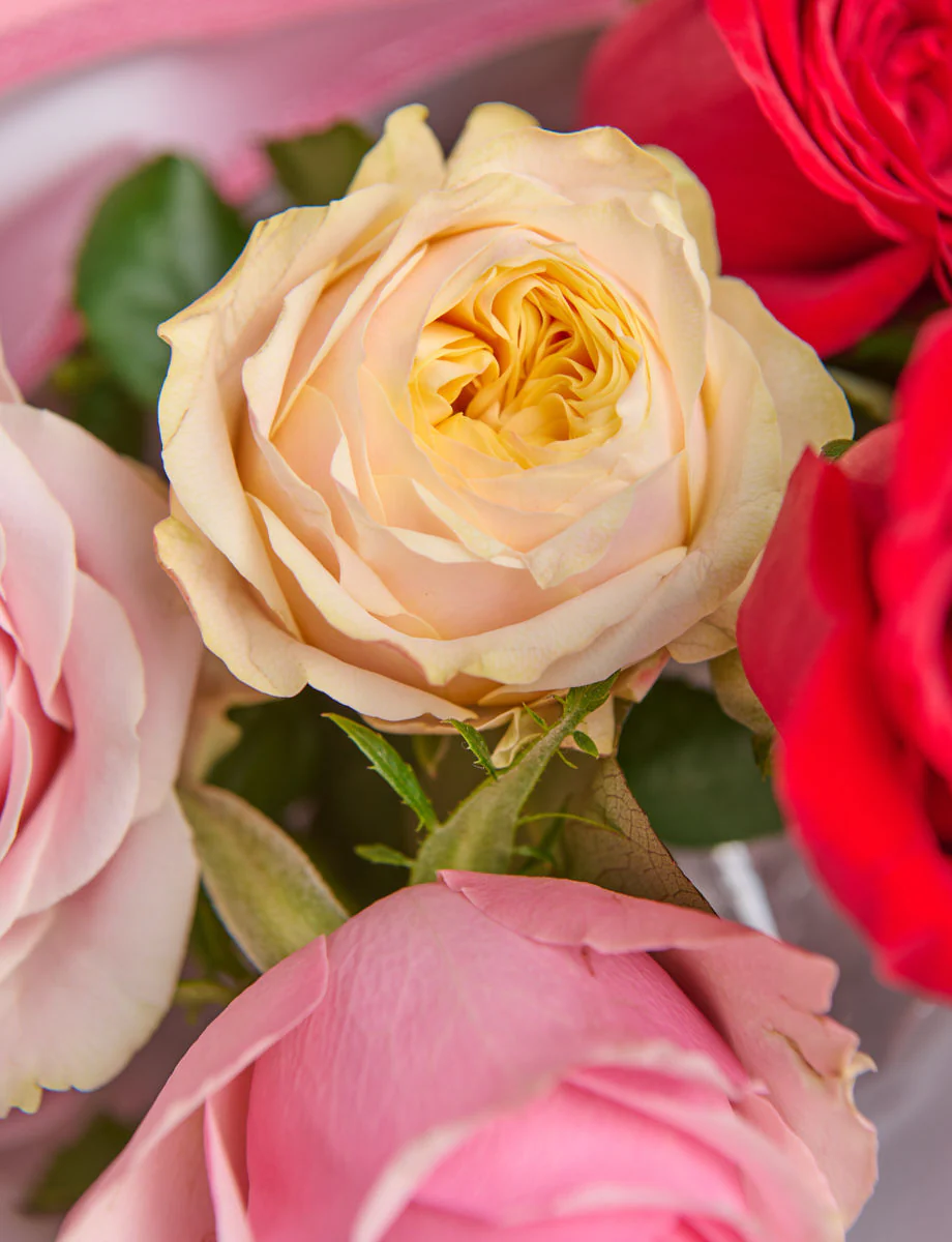 Half A Dozen Mixed Roses - Image 3