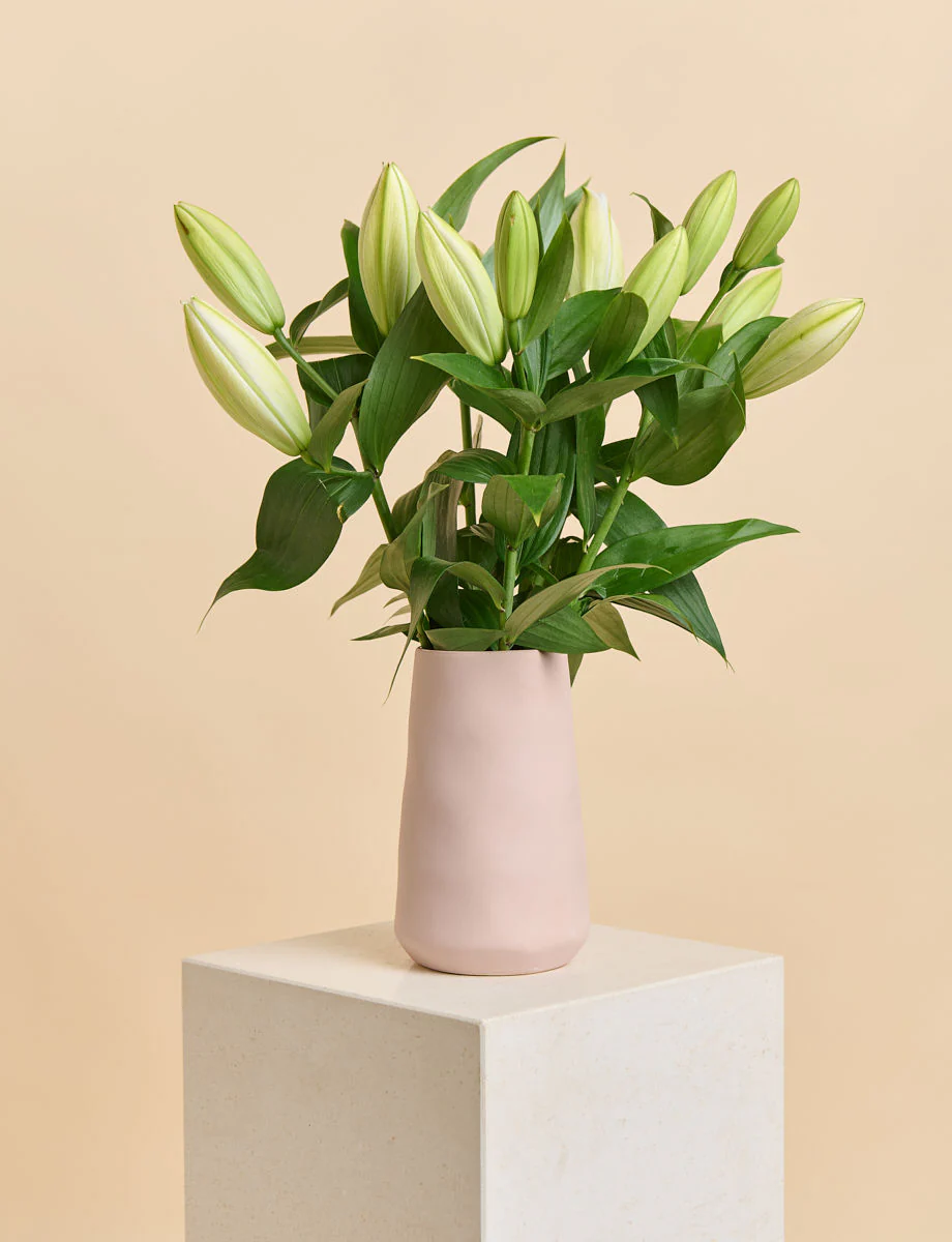 Oriental Lilies + a vase! - Image 3