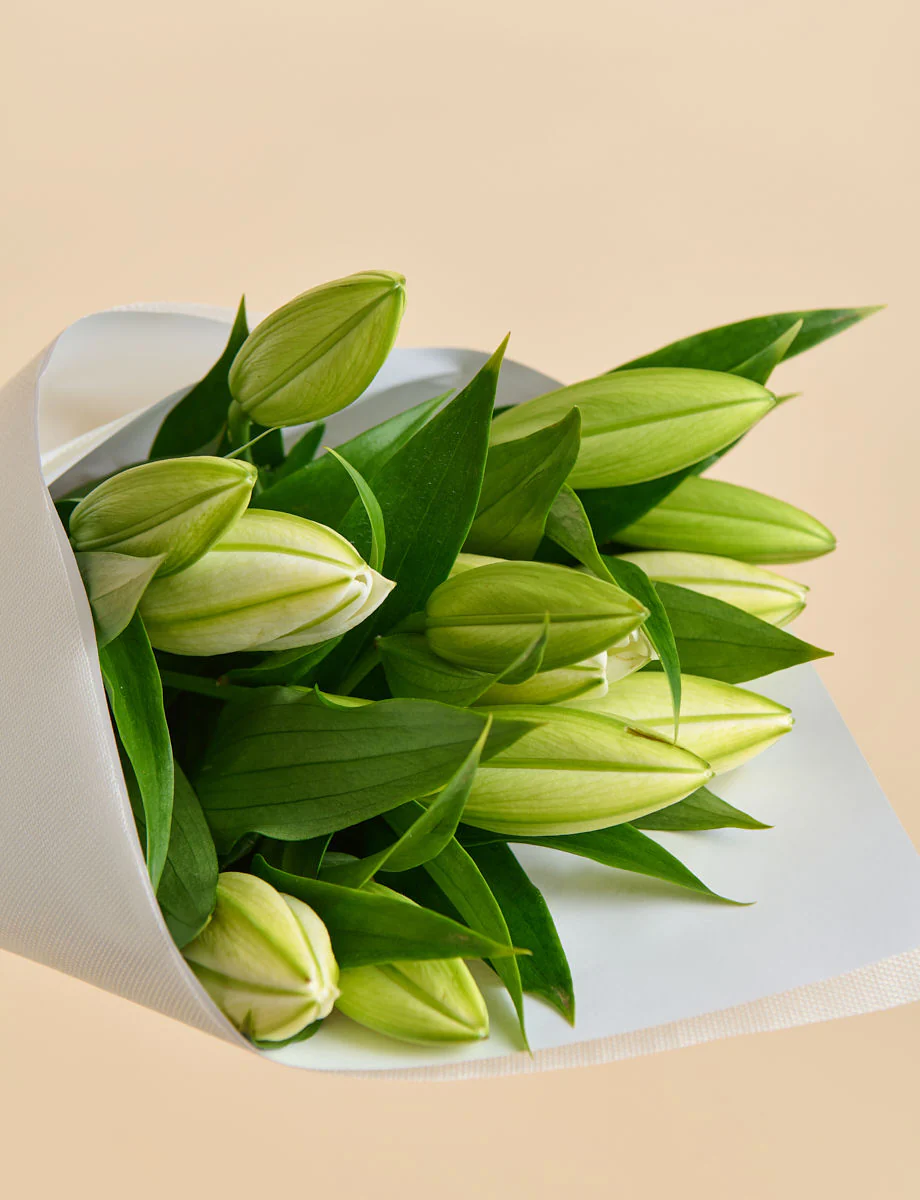 Oriental Lilies + a vase! - Image 7